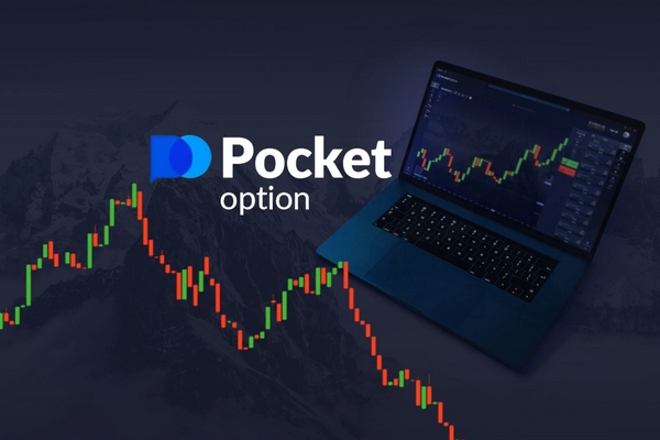 Pocket Option Without Investments 13