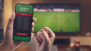 Discover the Exciting World of Wagering with BetBonanza Discover the Exciting World of Wagering with BetBonanza