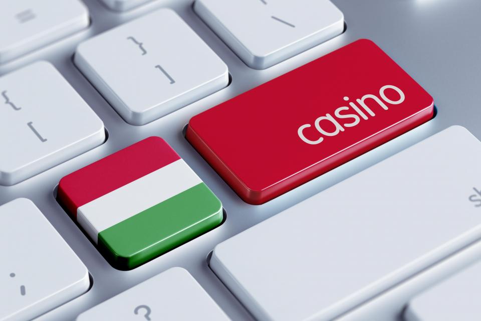 Discover the Excitement of Casino Online Website