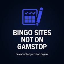 Exploring Bingo Sites Not Covered by GamStop 146193799