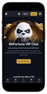Bitfortune A Guide for Experienced Desktop Players