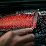 salmon-cure-wipe