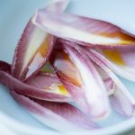 endive-with-rapeseed-oil