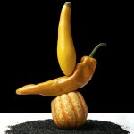 2-zuchini-squash-pepper-study-in-yellow-180217-10861