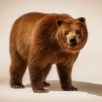 brown-bear-all-fours-tank-cgi-london-post-production