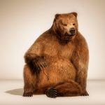 brown-bear-sitting-tank-cgi-london-post-production
