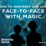 2-monterey-bay-aquarium-evb
