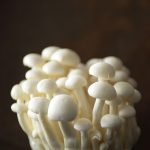 mushrooms-calvin-lockwood-photographer-photo-food-drink-still-life-atlanta-united-states-advertising-production-paradise