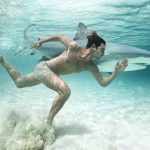 Man and shark in a race for speed underwater | Zena Holloway
