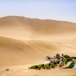 Oasis – Gobi Desert