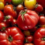 5.tomatoes-4157-crop