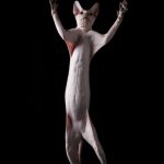 4-sphynx-cat-standing-arms-open-photography