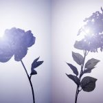 04-rfee-fakeflowers