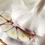 garlic-tif-copy