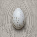 egg-test86432-final