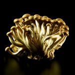 ny-ct-beech-mushrooms-black-jens-johnson-photographer-food