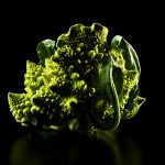 ny-ct-romenesco-broccoli-black-jens-johnson-photographer-food