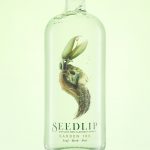philsills-seedlipbottle-drinksphotography
