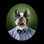 replacement-dog-portrait-photographer-eric-garcia-march